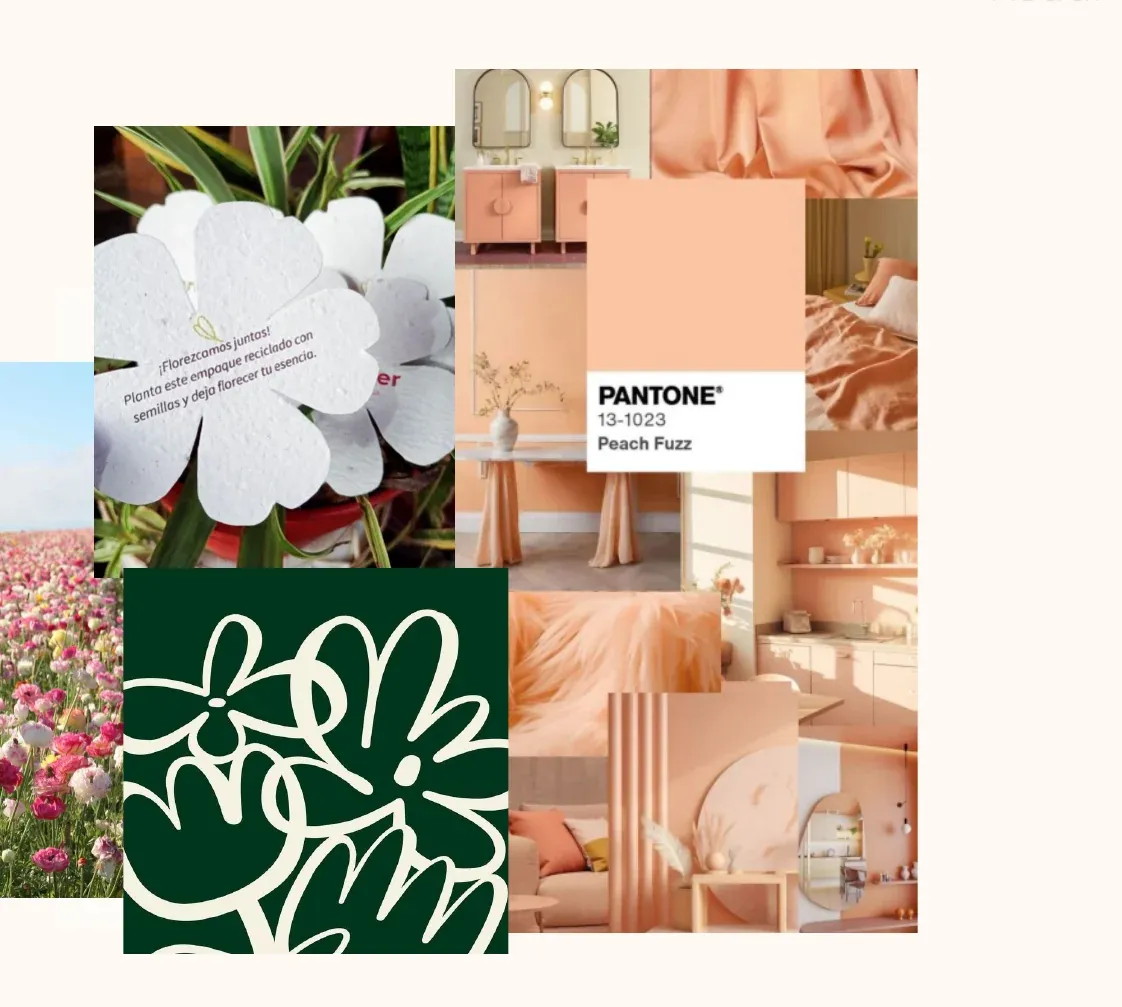 Moodboard con flores, tonos durazno y espacios cálidos