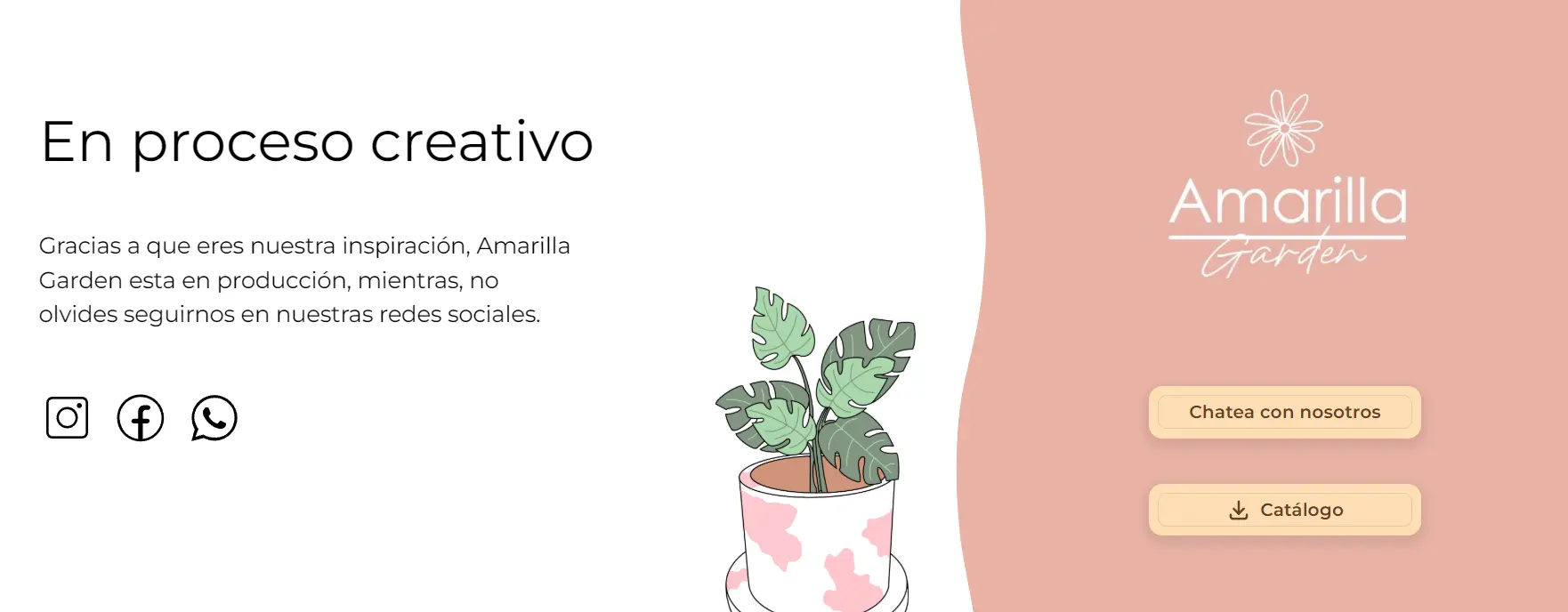 Portada del proyecto Amarilla Garden